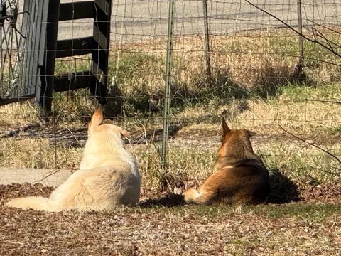 Mother and Son. Mom is on the right her little son is on the left.