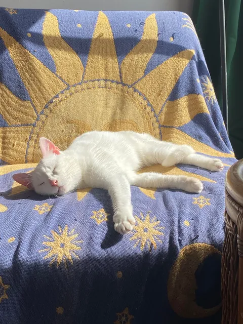 I hope my girl can brighten up someone’s day 🌞