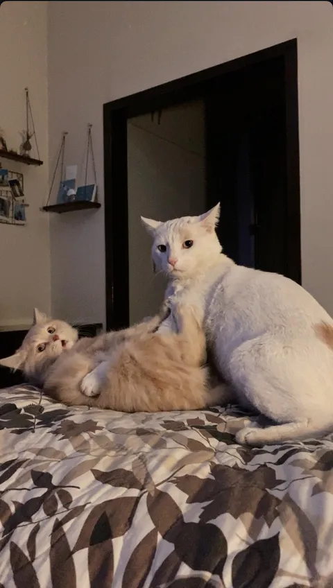 I think I walked in on something