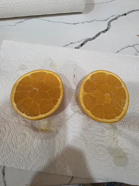 The orange I cut open looks very strange