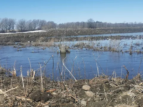 A local farmer destroyed a .5K stretch of river to make a corn field, right before spawning season. He didn't have permits