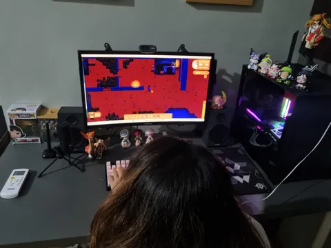Got my girlfriend an i7 12700k, RX 6700xt, and 144hz monitor... now the only game she plays is Stardew Valley