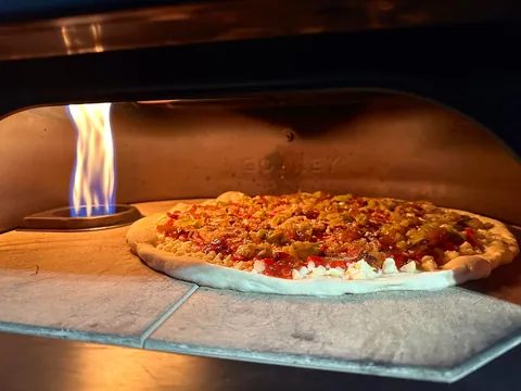 [Homemade] garlic and onion pizza