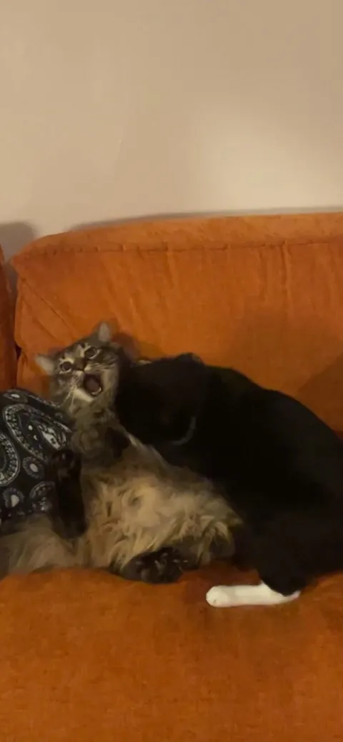 They are so weird together