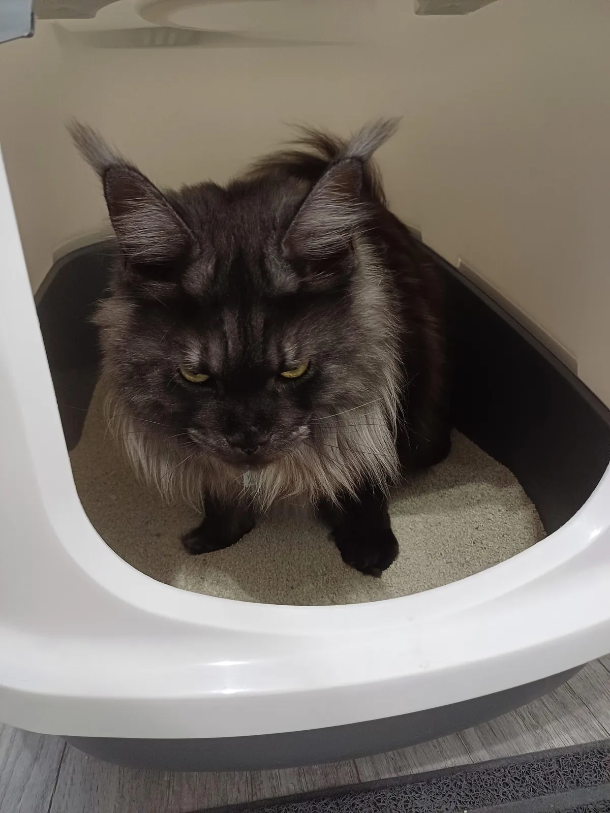 Hi reddit, it's Théoden. Did not see you for a long time