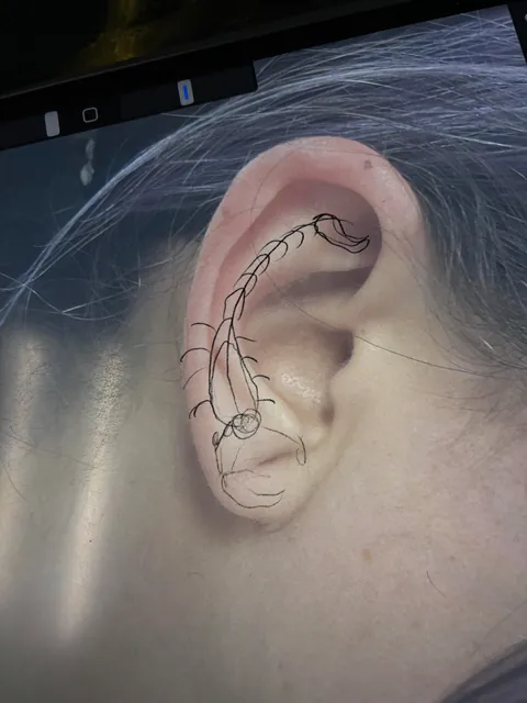 Concept sketches and final result