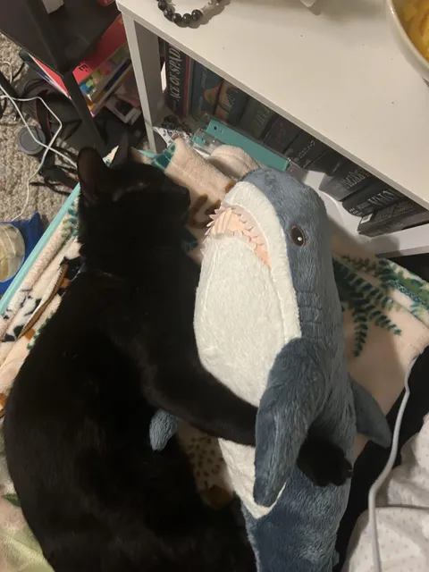 found this guy on the street