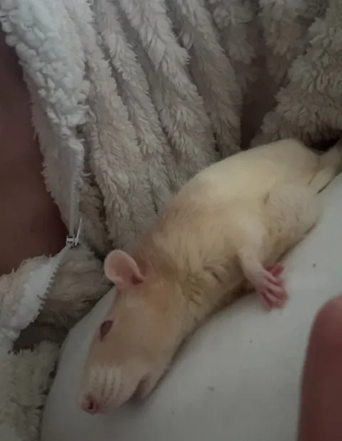 Guess who gave me a scare today…. Antonio, pushing to 3 years and 2 months now