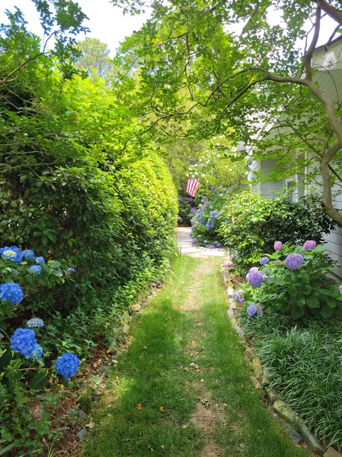 Did you remember to fertilize?