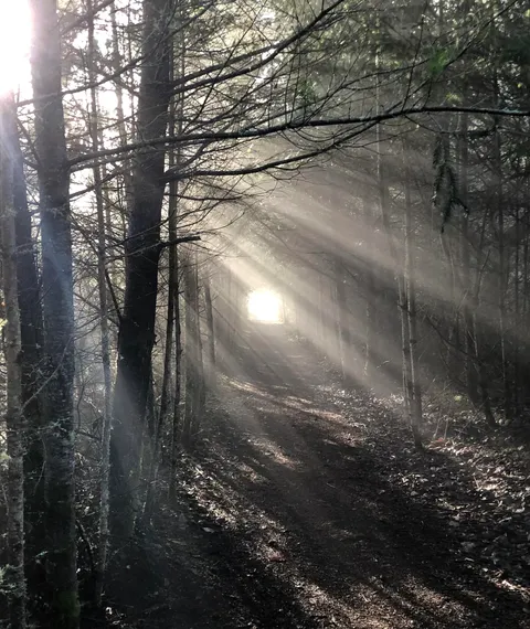Had to check my pulse while running this Washington trail [OC] [2175x2582]