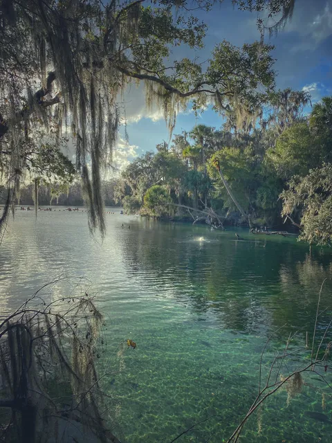 From my hike this afternoon