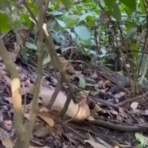 Thank you.. 🥺❤️