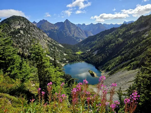 Catching the Tail End of Wildflower Season in North Cascades [OC] [4000x3000]