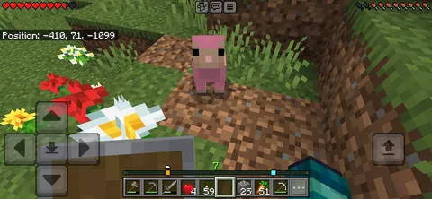 Found A pink baby sheep in big 2026
