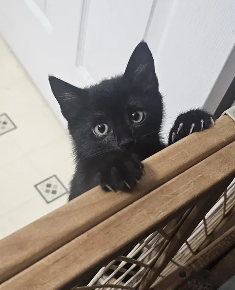 I can not be contained - Iffy