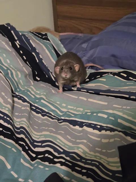 WHY IS JIMILY SO PHOTOGENIC