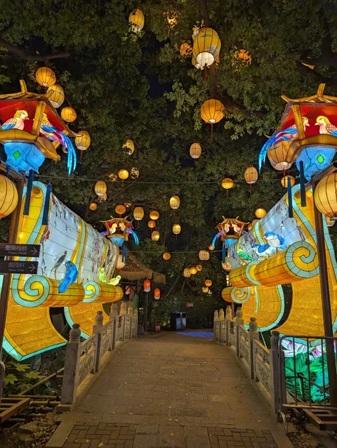 I randomly found Nanjing’s Qinhuai Lantern Festival, and it was breathtakingly beautiful