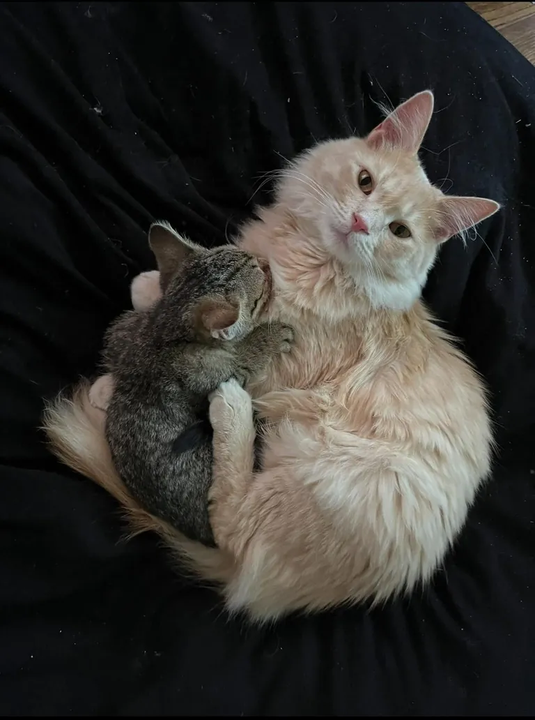 Marty really stepped in as a father figure for her 🥺