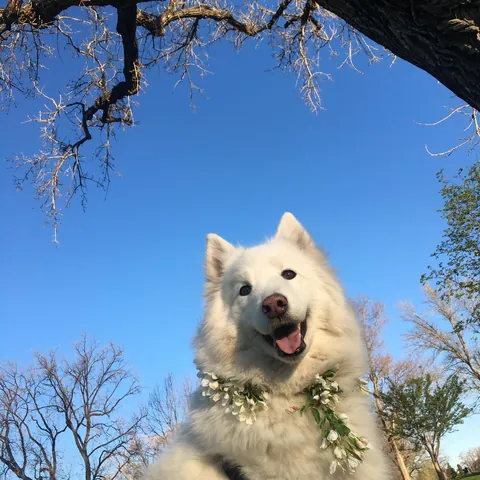 Pictures of the Queen!! She turned 14 April 23