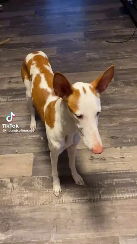 So happy with his gift