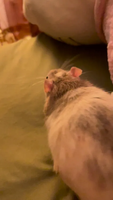 This is boggling, right?