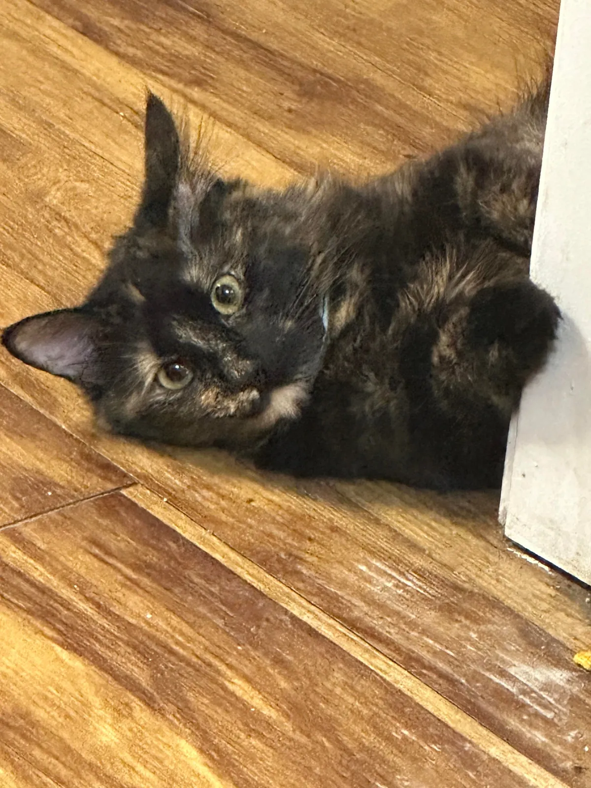 Somebody’s watching me