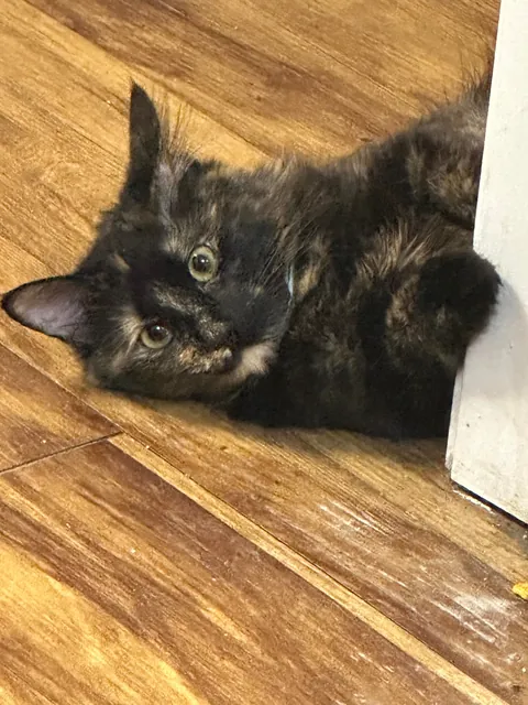 Somebody’s watching me