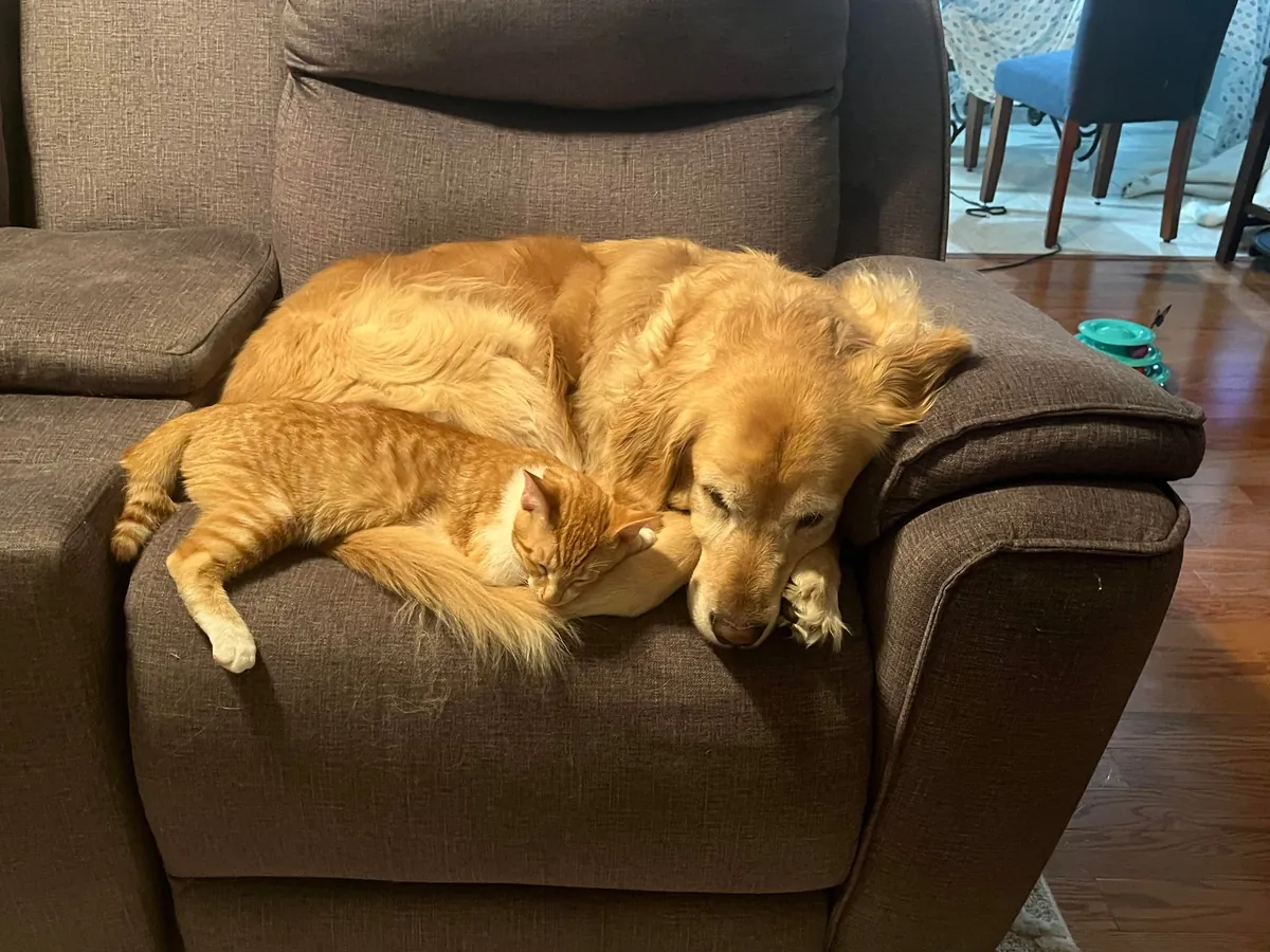 JimJim loves his Clover dog