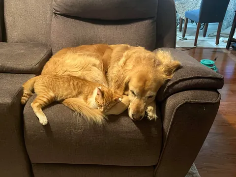 JimJim loves his Clover dog