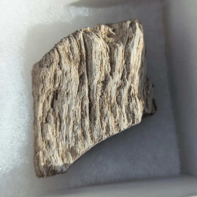 I found radioactive asbestos at a pawn shop, and it glows like kryptonite