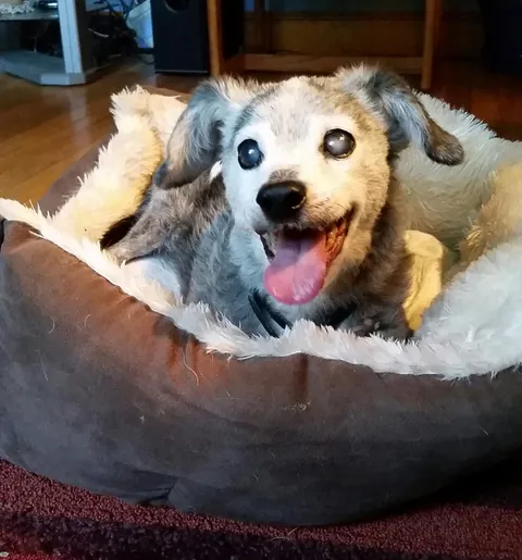 19-Years-Old and Still Smiling