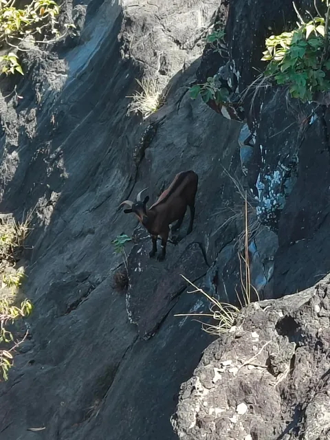 I spent a month travelling around Fiji 🇫🇯 and Australia 🇦🇺 (Sep - Oct 2025)