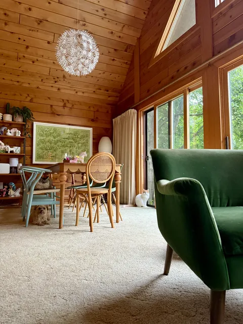 My precious pets Jerry, Phil, and Grace in my dining room.