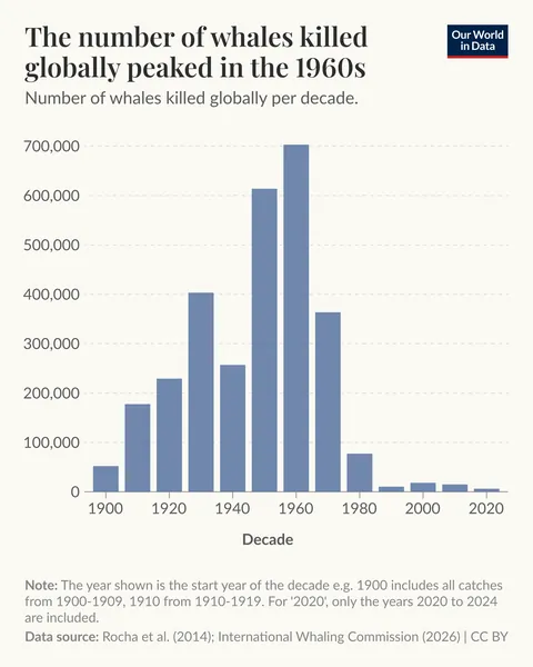 [OC] The number of whales killed globally peaked in the 1960s