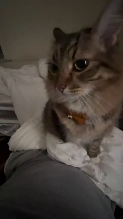 Why? He stares and smacks me. Why?