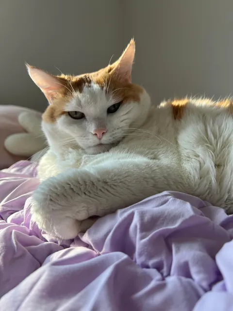I lost my Baby, I’m heartbroken