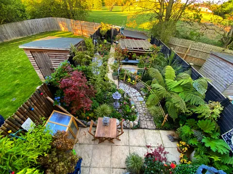 The garden is thriving this year!