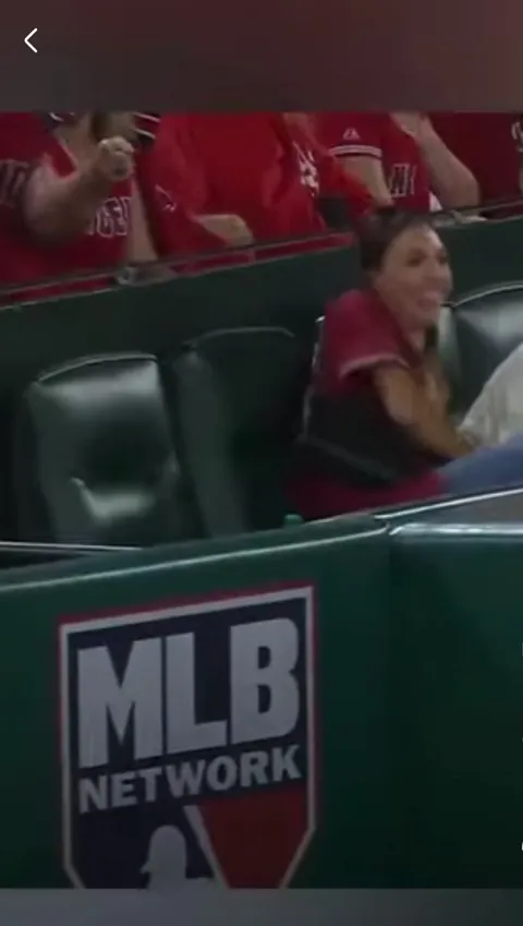 MLB (Meow League Baseball)