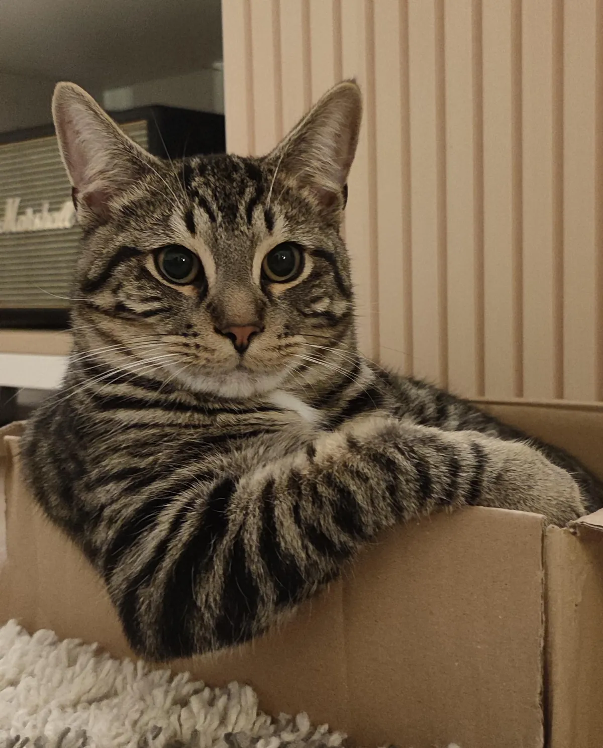 What's his pick up line? 