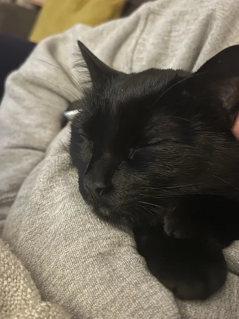 Finally caught the guy that’s been sleeping with my gf