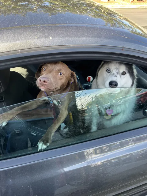 They’re always ready to adventure