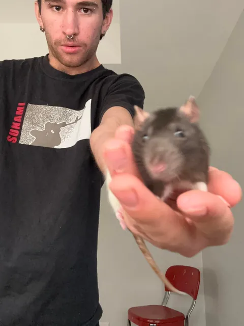 An offer you can’t refuse