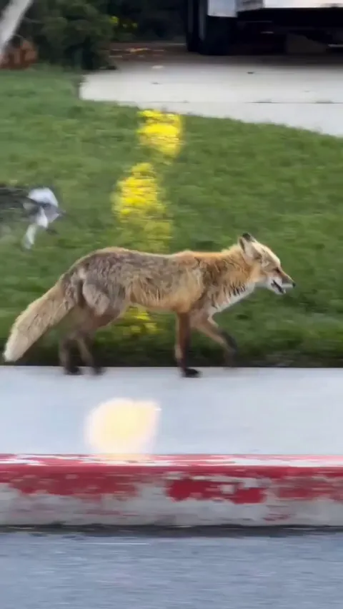 What story do they have?