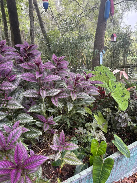 Do you guys like my boat garden!?