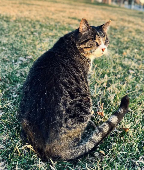 Sometimes it makes me really sad when I think about how long he was in a shelter.