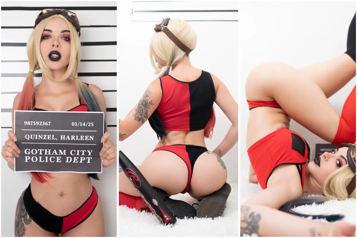 Harley Quinn (AmandaWelp) [Harley Quinn - Cartoon]