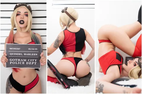 Harley Quinn (AmandaWelp) [Harley Quinn - Cartoon]