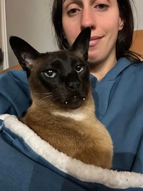 Last day with my soul cat. My heart is broken