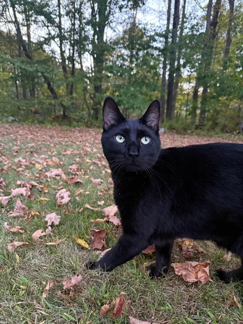 some supervised outdoor time with noodle