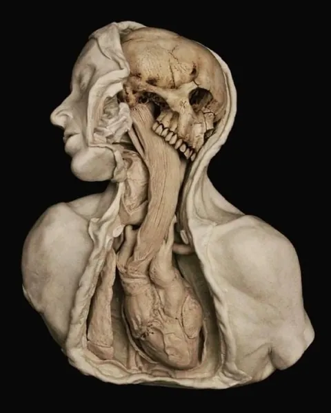Sculptures by Emil Melmoth